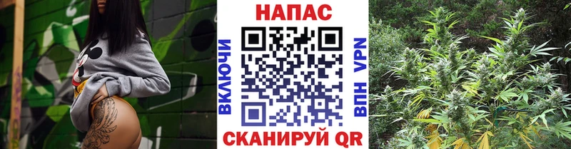 Названия наркотиков Закаменск Cocaine APVP МАРИХУАНА ГАШИШ