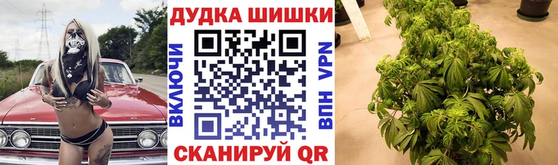 Бошки марихуана гибрид  Закаменск 